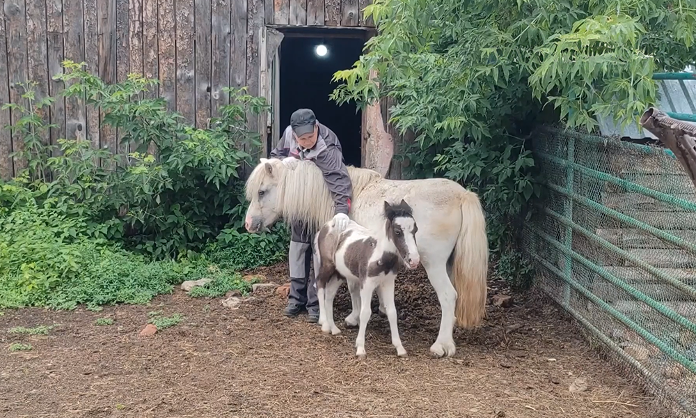 Стало известно имя подопечного Большереченского зоопарка