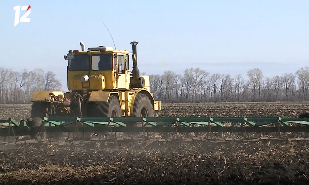 В трёх районах области стартовали посевные работы