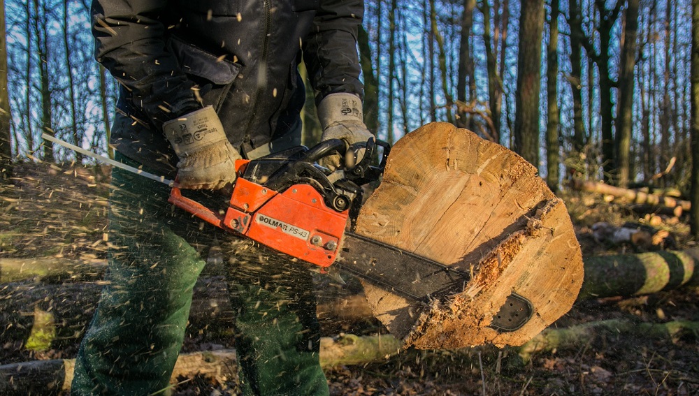 Тарский экс-депутат предстанет перед судом за незаконную вырубку леса 