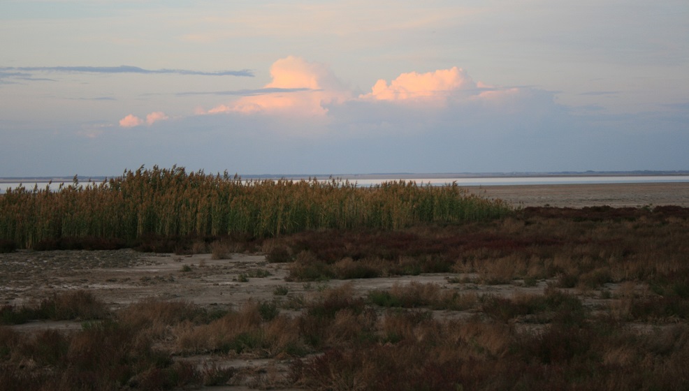 Экспедиция российских исследователей посетила озеро Эбейты в Омской области