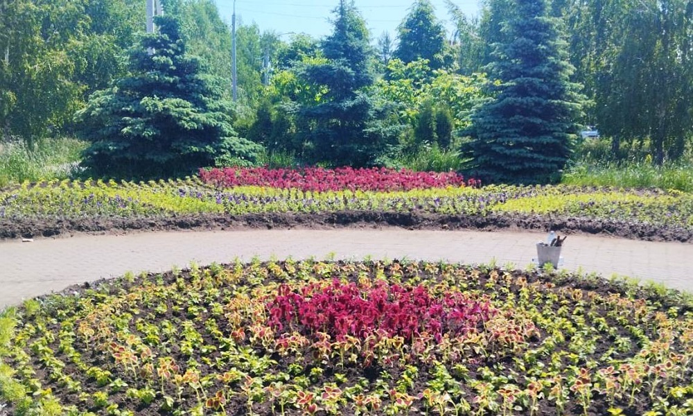 Более 400 тысяч цветов высадили омские агрономы
