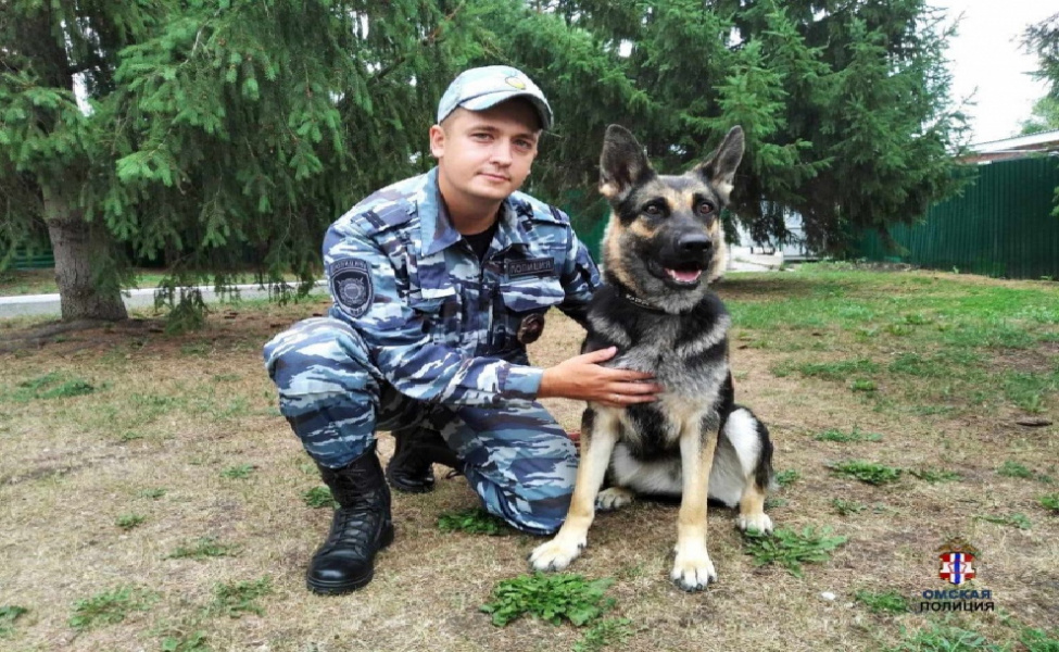 С помощью служебной собаки Орлетты омские полицейские оперативно отыскали украденный телефон 