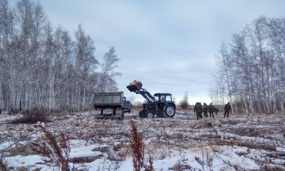 Ещё два лесхоза заготовили дрова для мобилизованных