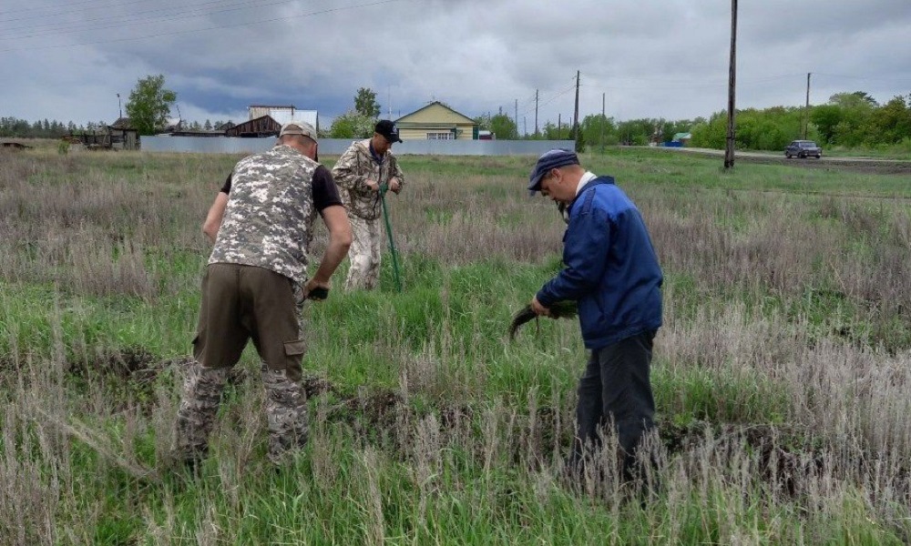 В Омской области продолжают высаживать деревья в садах памяти
