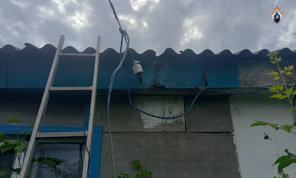 В Омской области мужчина погиб от удара током