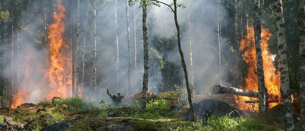 В Тевризском районе Омской области объявили режим ЧС