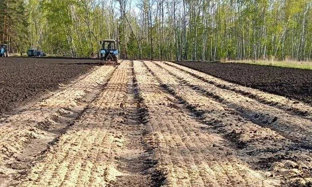 В Омской области начали весенний посев семян
