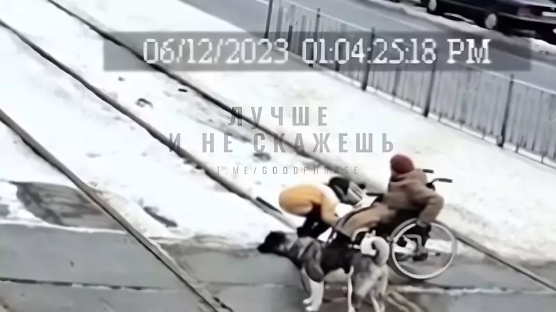 В Екатеринбурге мальчик с собакой спасли бабушку-инвалида, которая застряла на рельсах