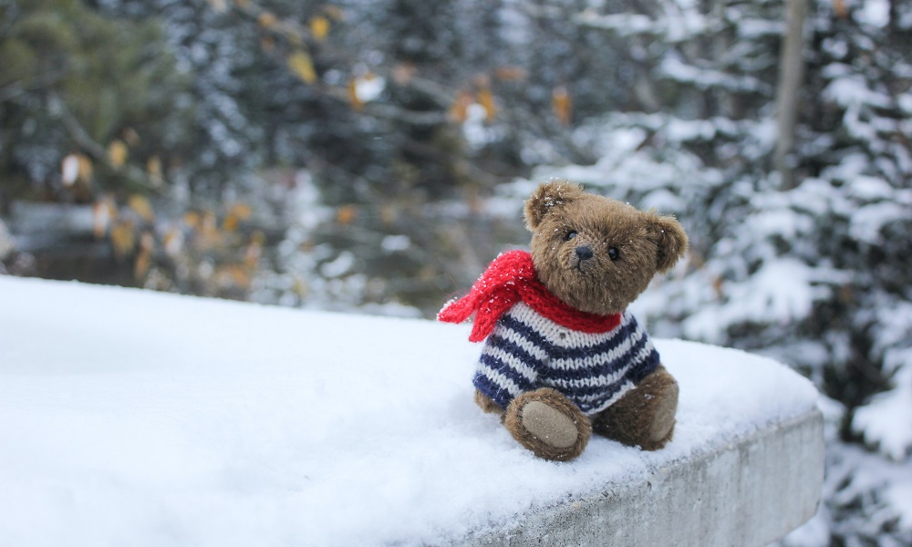  В Омске суд лишил родительских прав 28-летнюю мать шестерых детей