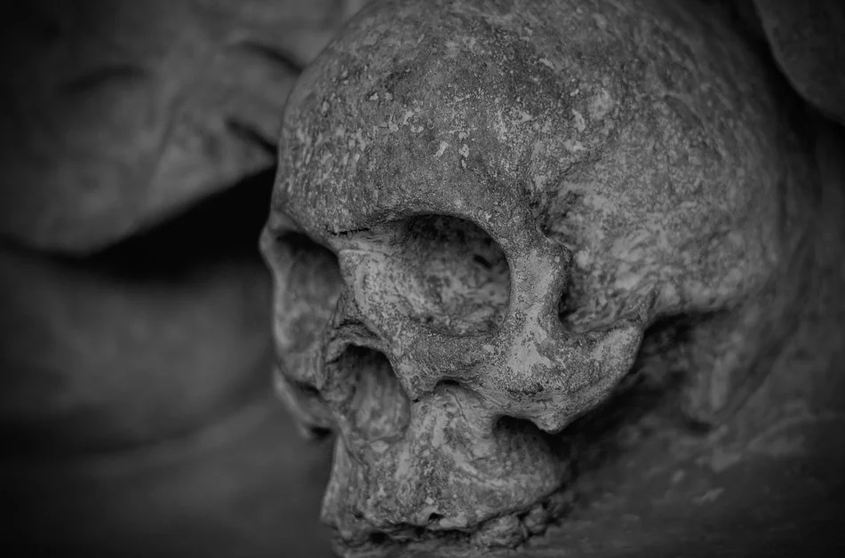 В Таре откопали скелет во время ремонта ДК 