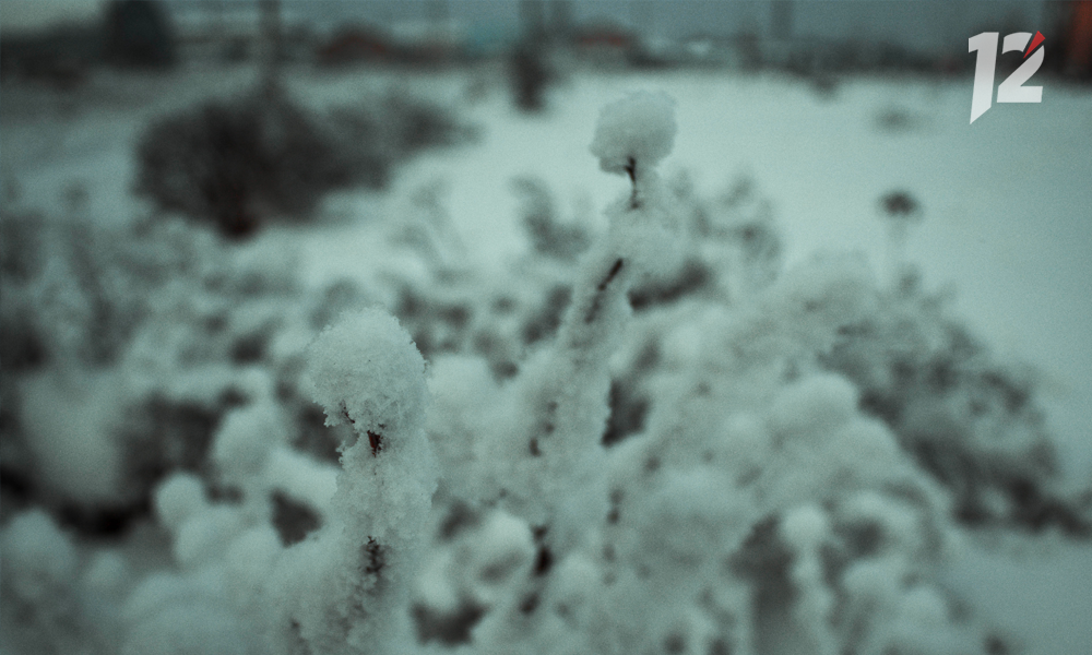 В Омске первая рабочая неделя наступившего года начнётся с похолодания 