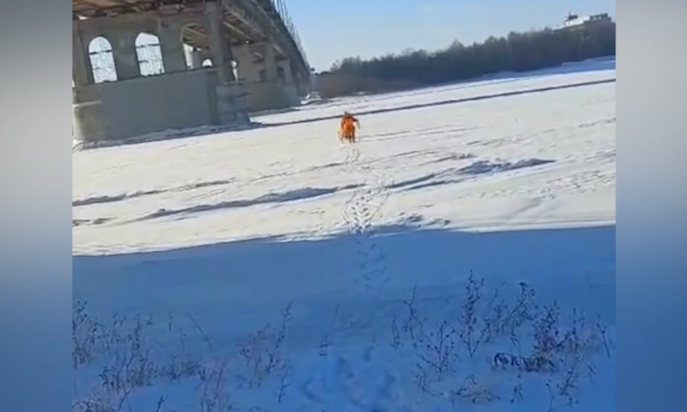 В Омске мужчина упал с Ленинградского моста 