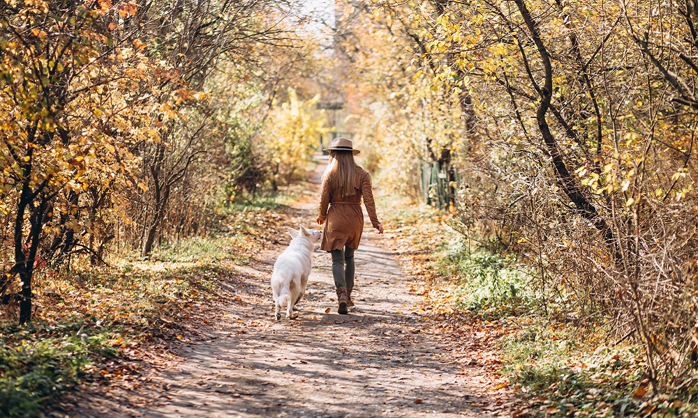 Омск вошёл в топ-10 городов по доле новостроек с площадками для выгула собак