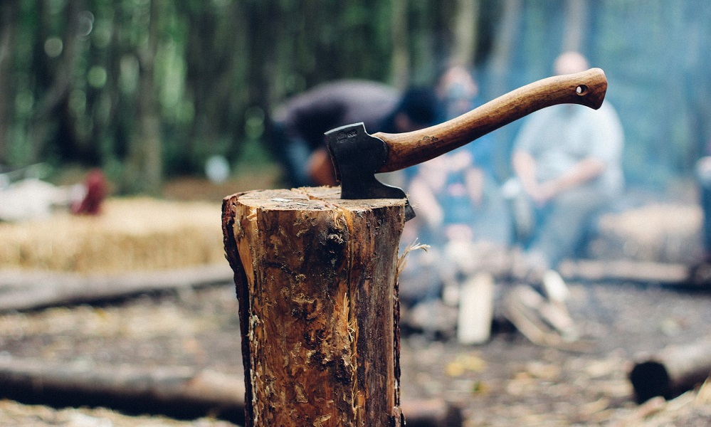 В Колосовском районе Омской области 162 дома остались без дров 