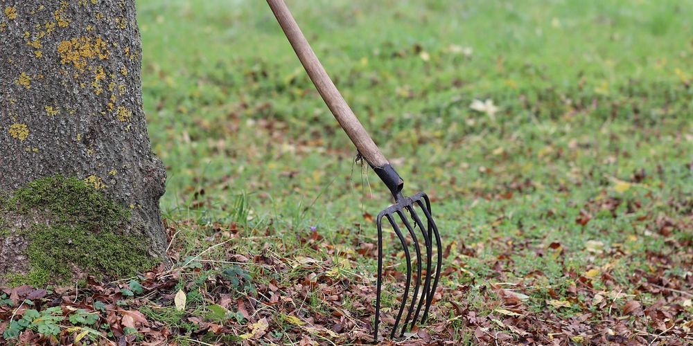 Омские садовые маршруты меняют расписание 