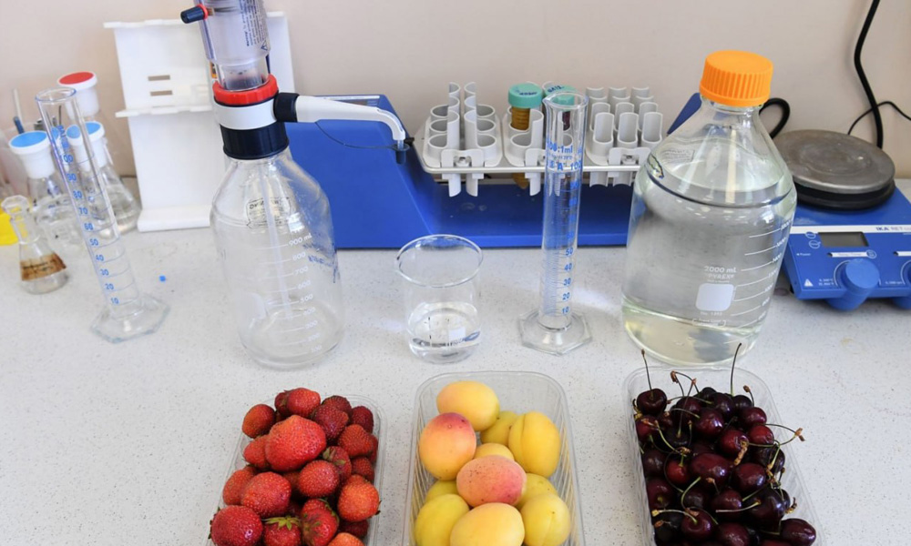 Специалисты омского Россельхознадзора избавили от карантинных вредителей партии импортных фруктов