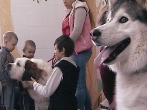 Омская мэрия предоставит помещения для некоммерческих организаций под социально значимые проекты