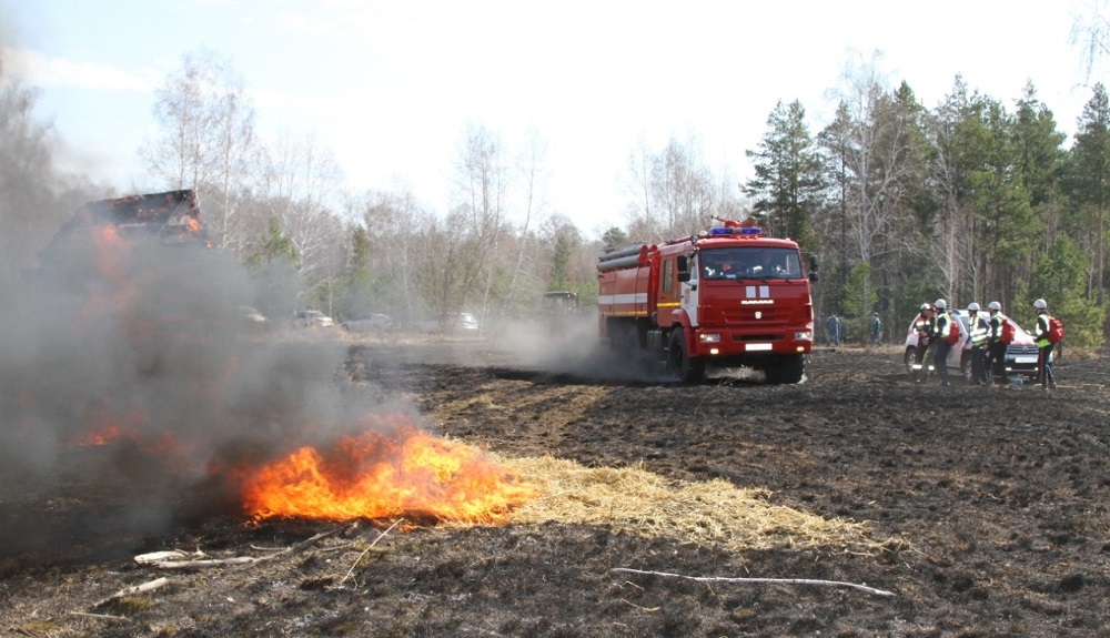 В Омском регионе выгорело 19 "футбольных полей" сухой травы