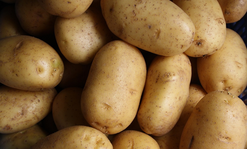 Омская сельскохозяйственная техника и картофель будут востребованы в Узбекистане