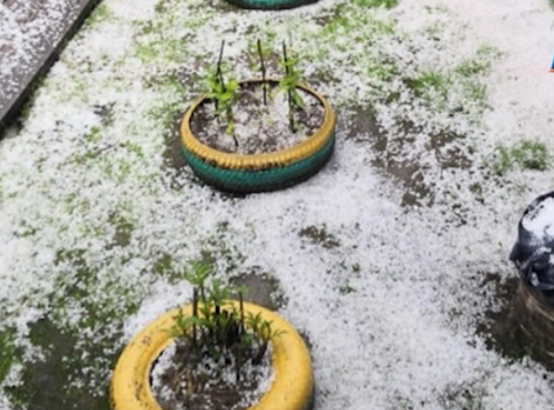 Град доставил неприятности жителям омского севера