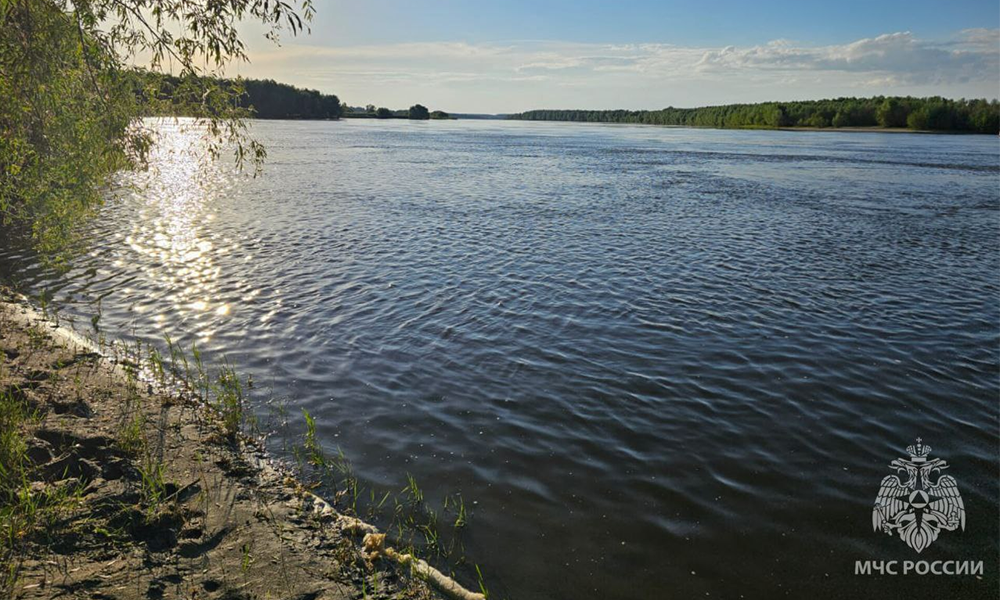 В Омской области в реке утонул мужчина
