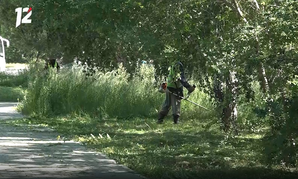 В Центральном округе Омска скосили траву на 513 территориях