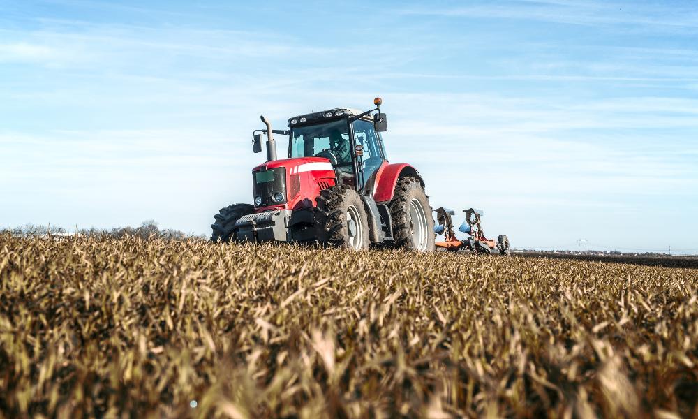 В 2023 году объём господдержки сельхозпроизводителям Омской области составил 3,9 млрд рублей