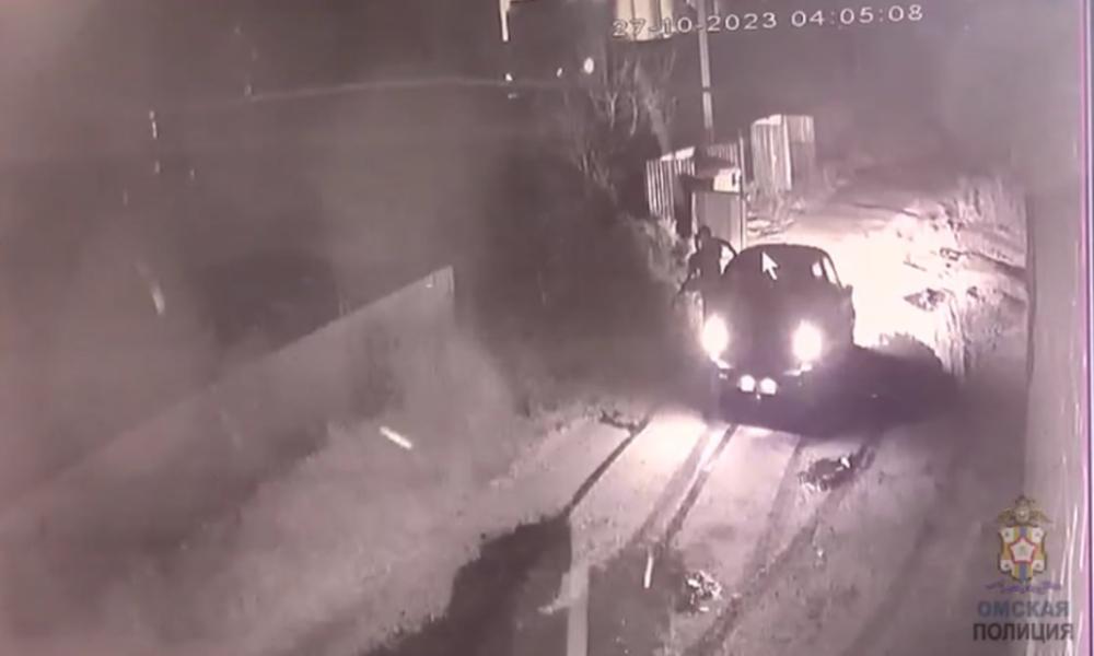 34-летний омич расстрелял чужой автомобиль из ружья