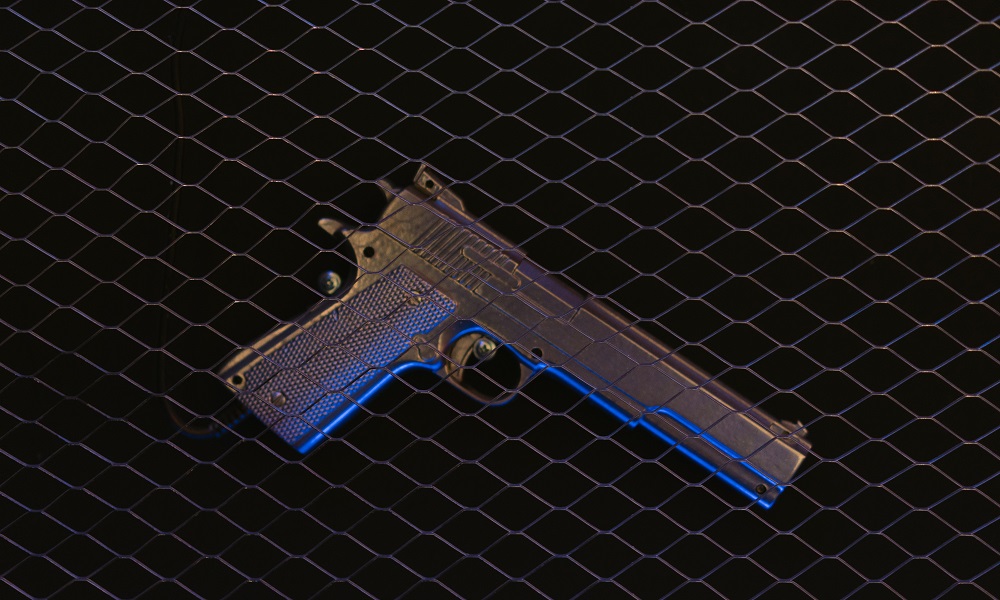 Росгвардейцы изъяли 184 единицы оружия у омичей