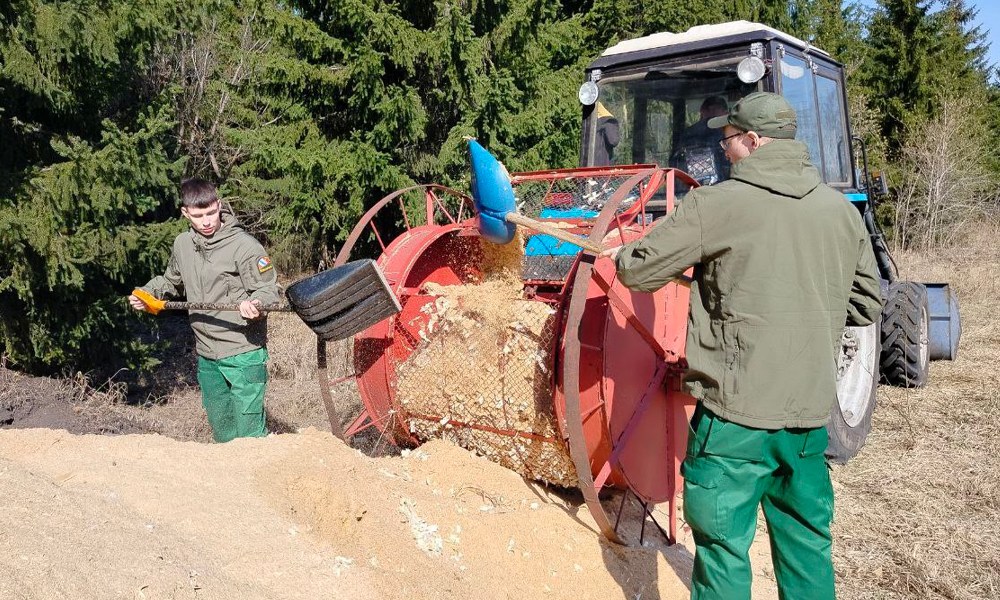 В лесных питомниках Омской области начался весенний посев