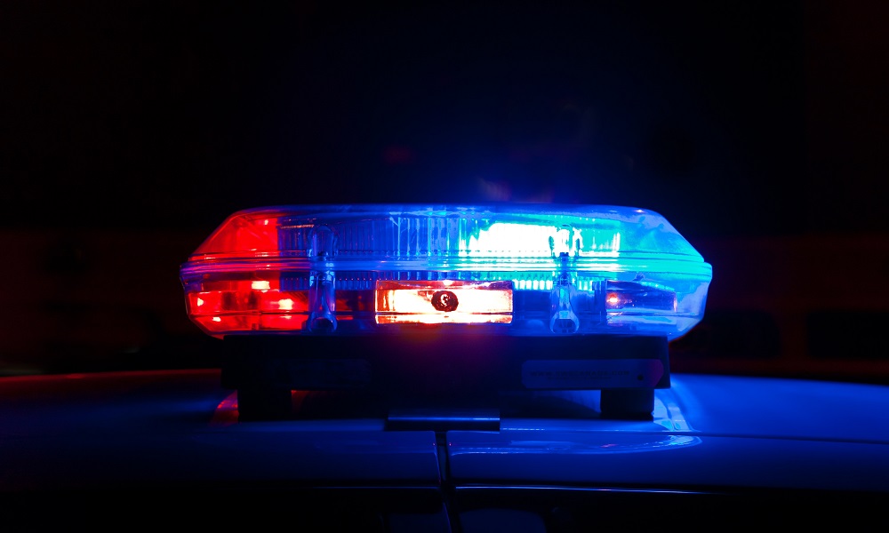 Омичи незаконно ловили осетра и стерлядь