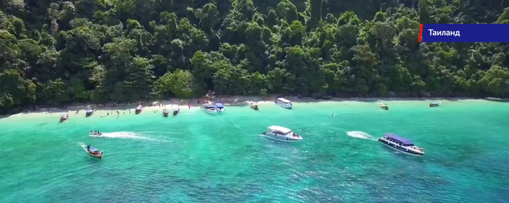 Омичам, которые не смогли улететь во Вьетнам, предложили альтернативные туры