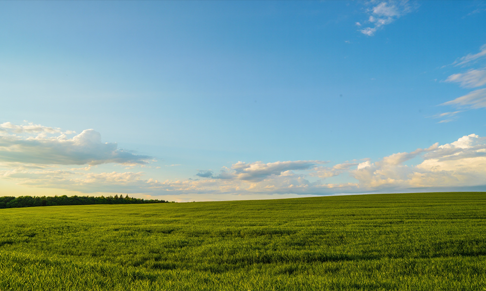 Омским аграриям предоставят более 766 га сельхозземель