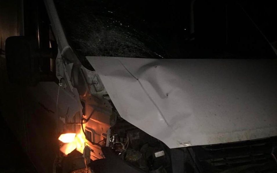 На трассе Омск - Муромцево водитель "Газели" сбил 77-летнюю женщину 