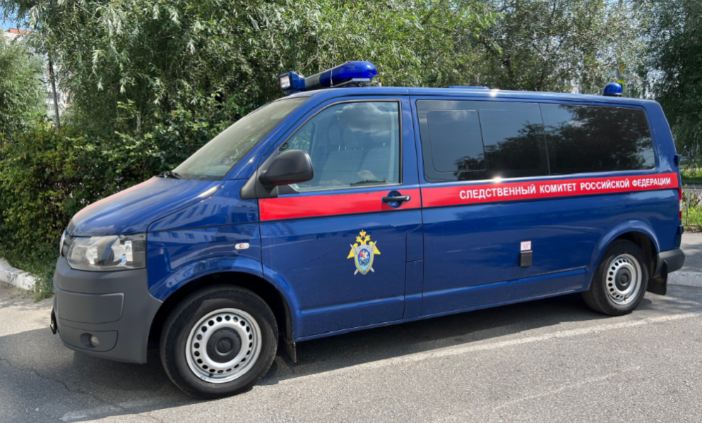 В Большеречье 14-летний мальчик погиб из-за упавшего дерева