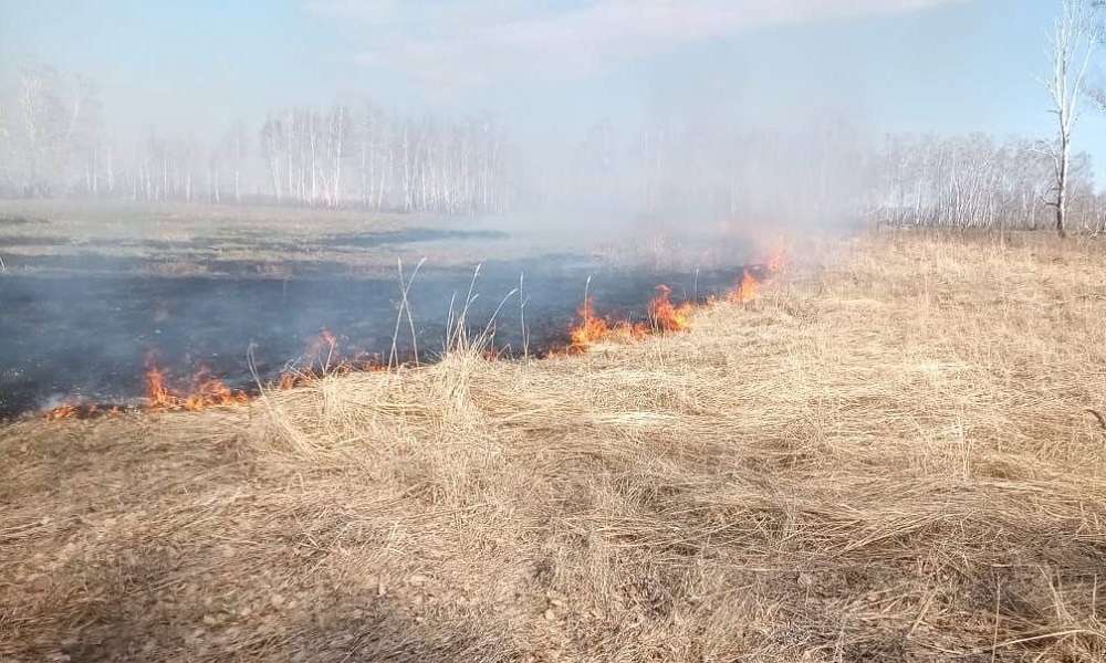 Специалисты Главного управления лесного хозяйства Омской области предотвратили пожар в Кормиловском районе