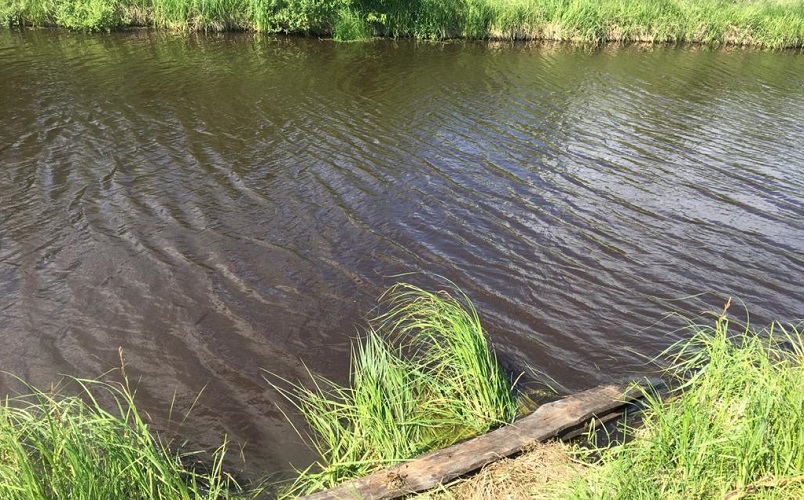 На севере Омской области утонула школьница