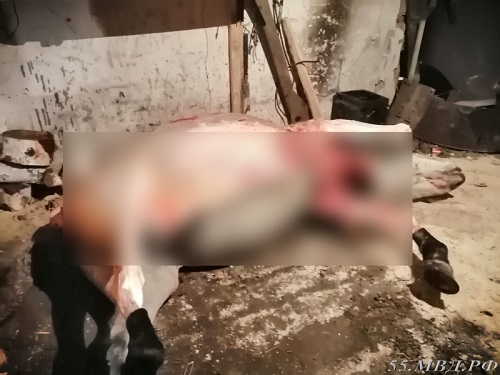 Два жителя Омской области застрелили коня