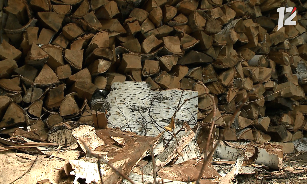 Жители Омской области за полгода заготовили почти 160 тысяч кубометров древесины для собственных нужд