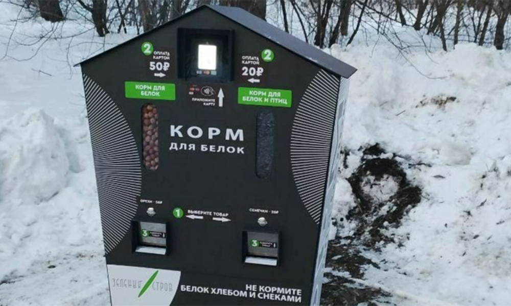 В Омске установили автоматы для прикормки птиц и белок