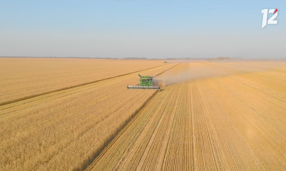 Сельское хозяйство в России развивается хорошими темпами — 3% в год