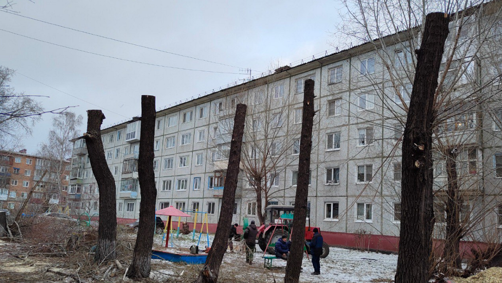 В Омске на 27-й Северной спилили аварийные тополя