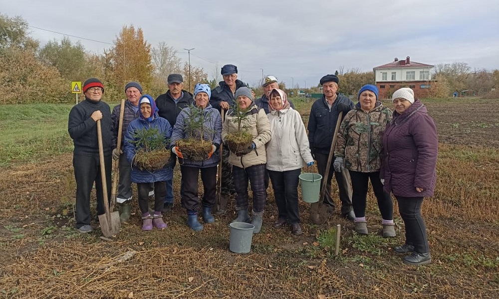 В Омской области завершается экологическая акция «Сохраним лес»