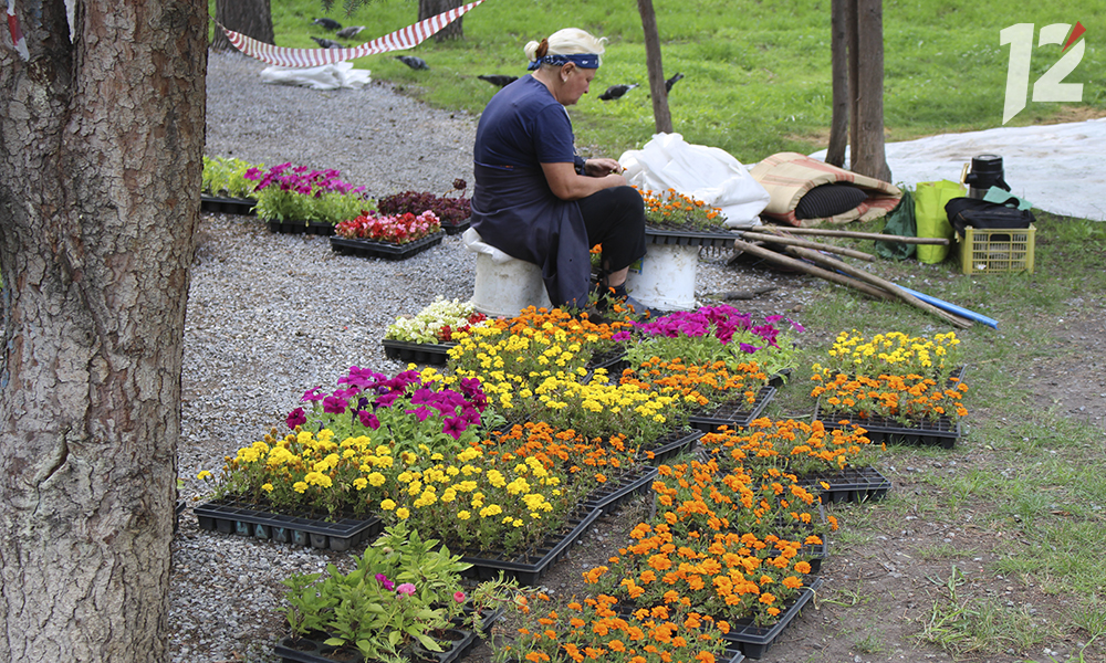 В Омске весной обустроят две новые клумбы