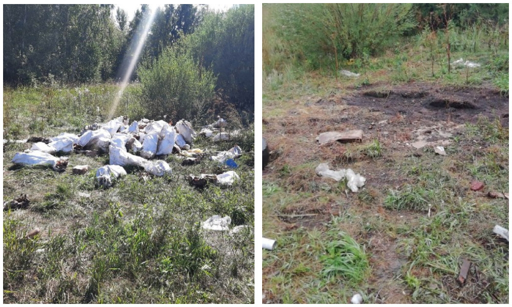 С незаконных скотомогильников в Омске вывезли 1,2 тонны черепов