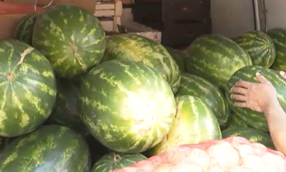 На территории Омской области обнаружили 20 тонн заражённых арбузов