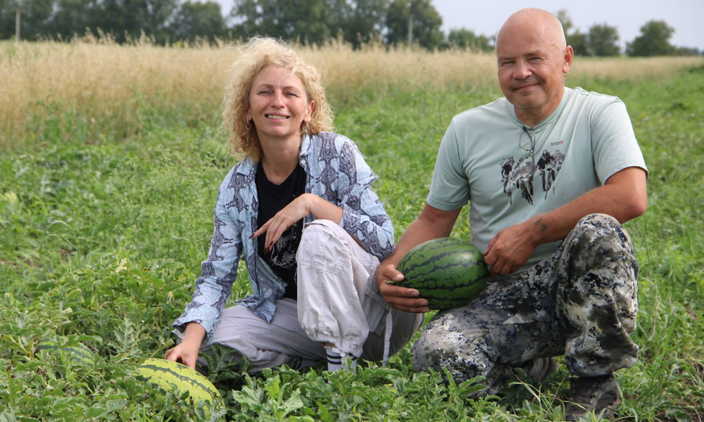 В Омской области супруги четвёртый год выращивают арбузы и дыни