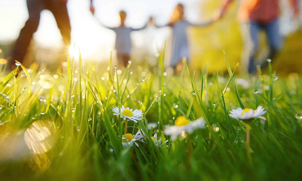 Эксперт назвала многодетную семью образом будущего России