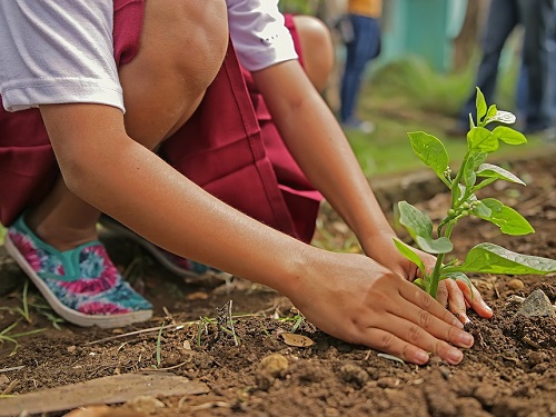 На летнее трудоустройство омских подростков потратят 15 млн рублей