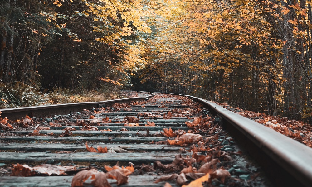 В минувшие выходные грузовой поезд сбил 8-летнего омича